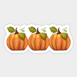 Three pumpkins in a row Sticker